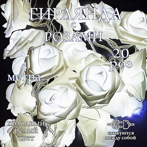 ������ ������ ������������ �������� ���� ����