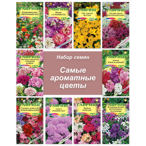 ������ ������ ������ ��������� ������ ��� ���� ����