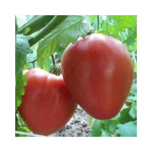 ������ ������ ������������� ������ ������ ������ ����