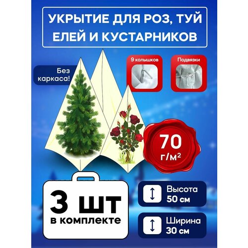 ������ ������ ����� 70�� ��� ��� � ������������ ����������� 50 �� 3 + ����� ����