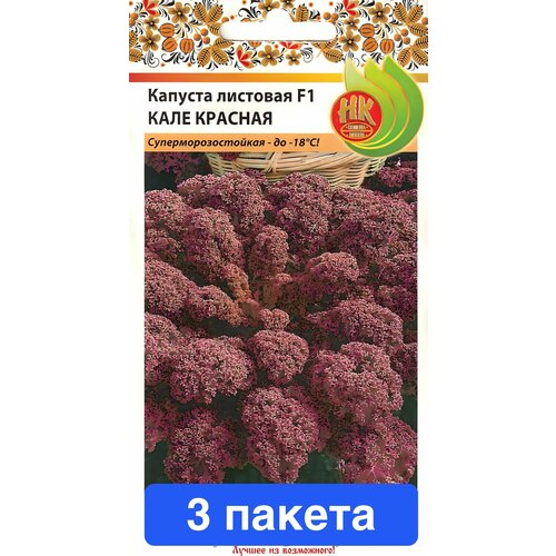 ������ ������ ������ ������ ������� ������ 