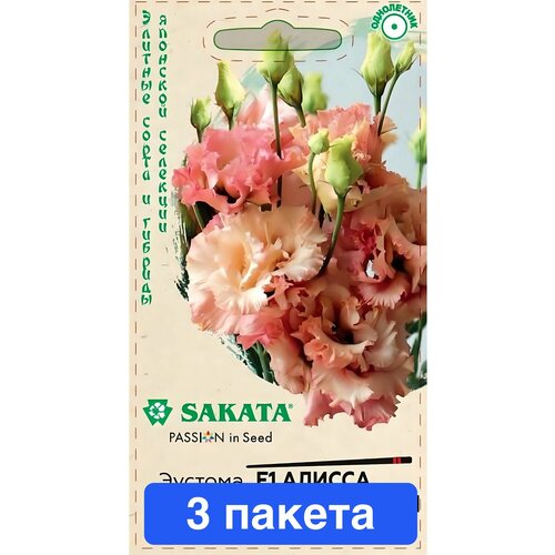 ������ ������ ����� ������� ������ ����������� F1 3 ������ ����