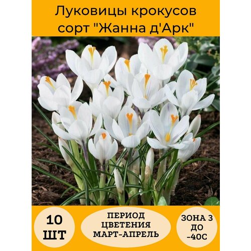 ������ ������ ������ ���� 