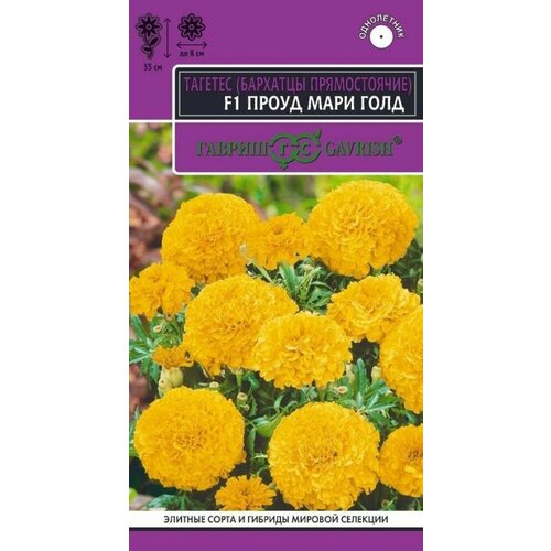 ������ ������ ������ �������� ������������ ����� ���� ���� F1 5�� ��� 35�� (������) ��������� �22 ����