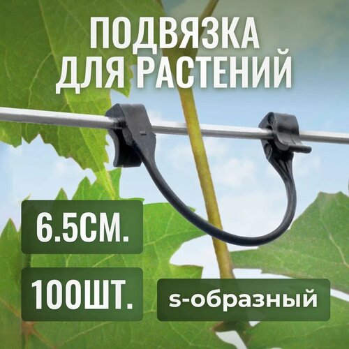 ������ ������ ������ ��� �������� �������� s-��������, 6.5��, 100�� ����