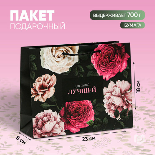 ������ ������ ����� ���������� ���� ����� ������, 23 ? 18 ? 8 �� ����