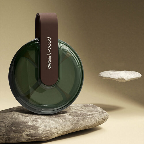 ������ ������ ���������� ����