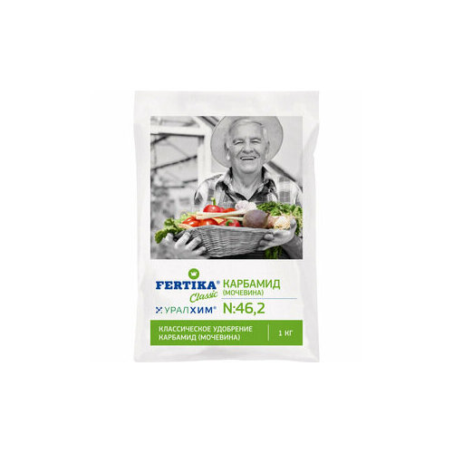 ������ ������ �������� (��������) ������� ����