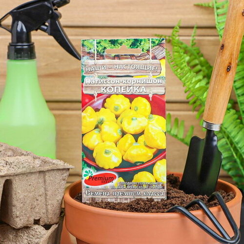 ������ ������ ������ �������� �������, 7 �� ����