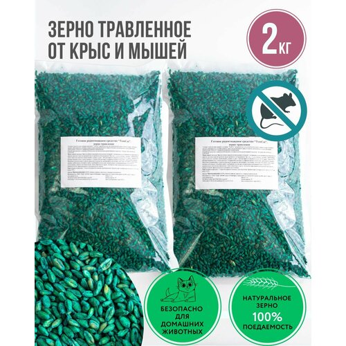 ������ ������ �������� �� ����� � ���� ����� ������ 2 �� ������� ����