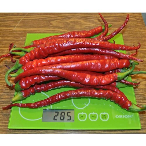 ������ ������ ������������� ������ ����� �������� �������� ������� ����