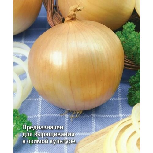 ������ ������ ������������� ������ ���� �������� ���� ������ ����