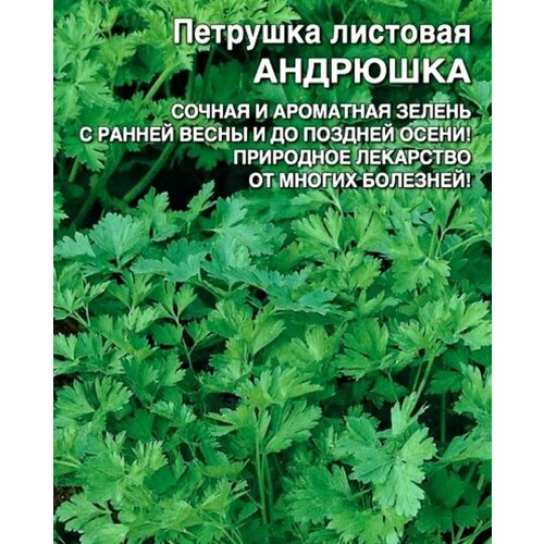 ������ ������ ������������� ������ �������� �������� �������� ����