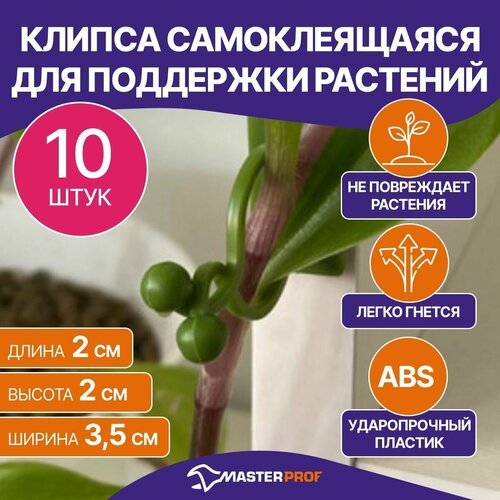 ������ ������ ������ ������������� ��� ��������� ��������, 10 ��. ����