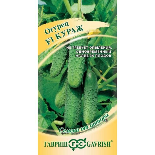 ������ ������ ������ ������ ����� F1 10�� ������������������ ������ (������) ����� ����