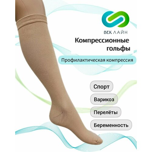 ������ ������ ������ �������������� ����������������, 2 ������, �������� ����