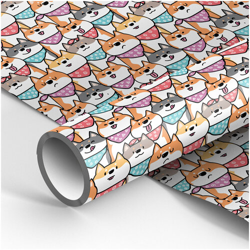 ������ ������ ����������� ������ �����. 70?100��, MESHU ���� �����, 80�/�2 ����