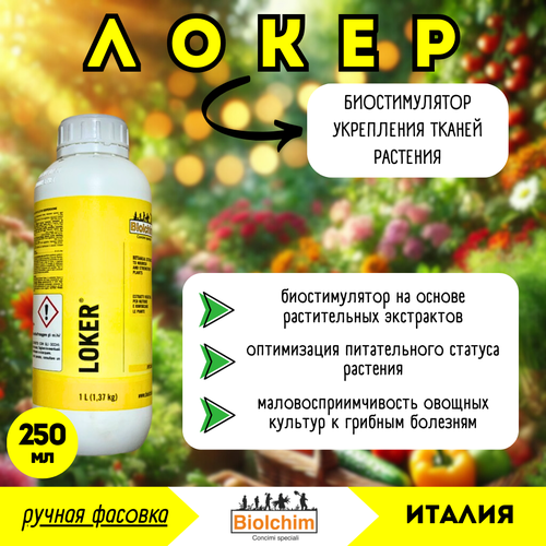 ������ ������ ����� (Biolchim), ���������� �����, 250�� (������ �������) - ���������� ����� ����
