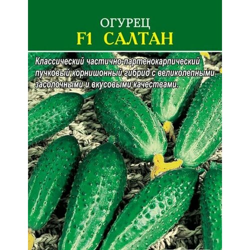 ������ ������ ������������� ������ ������ F1 ������ ����