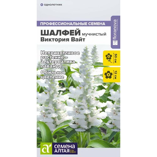 ������ ������ ������ �������� ���� ��������� (10 �����) ����