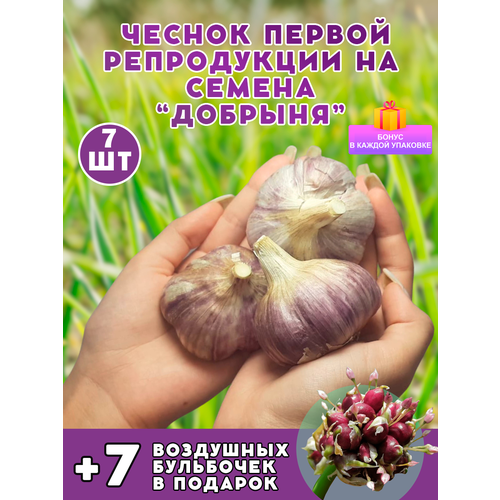 ������ ������ ������ �� ������� 