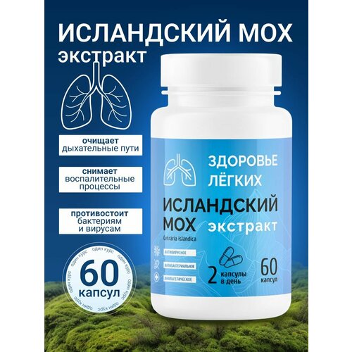 ������ ������ ��������, ���������� ��� �� ����� ����