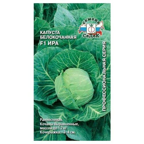 ������ ������ ������ ������� �/� F1 ��� ����