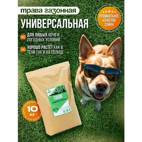 ������ ������ �������� �����, ������, ������������� ����������, 10 �� ����