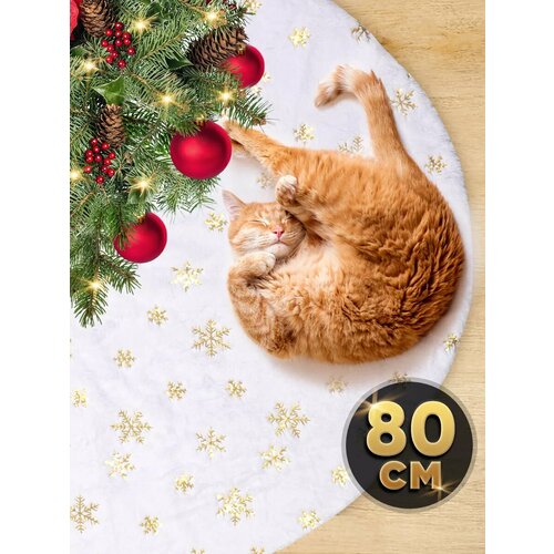 ������ ������ ������ ��� ���� ���������� ���� ��� ���� �����, 80 �� ����