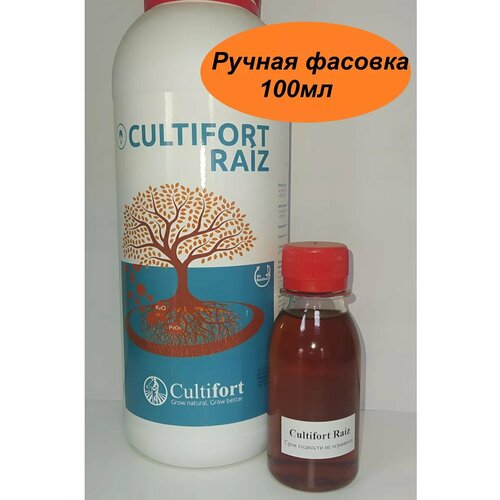 ������ ������ ���������� ���� 100�� Raiz ����