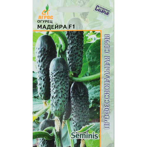 ������ ������ ������ ������ ������� F1 5�� ������������������ ������ (�����) ������ ����