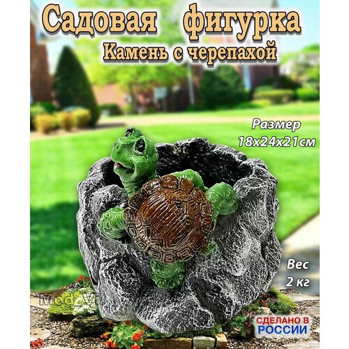 ������ ������ ������� ������� ������ � ���������, ����� ��� ����, ���� � ������� ����