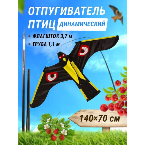 ������ ������ ������������ ���� �������� ��������� ���� ������ + �������� 3,7 � ����