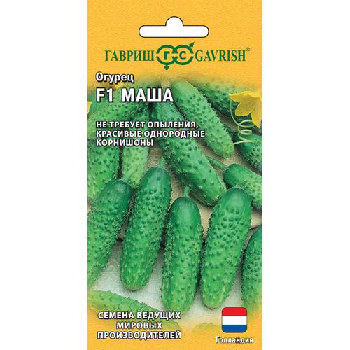 ������ ������ ������ ������ ���� F1 5�� ������ (������) ����