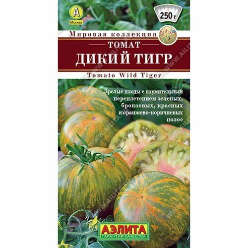 ������ ������ ������ ����� ����� ���� , ������������, (������) 20�� ������� ��������� ����