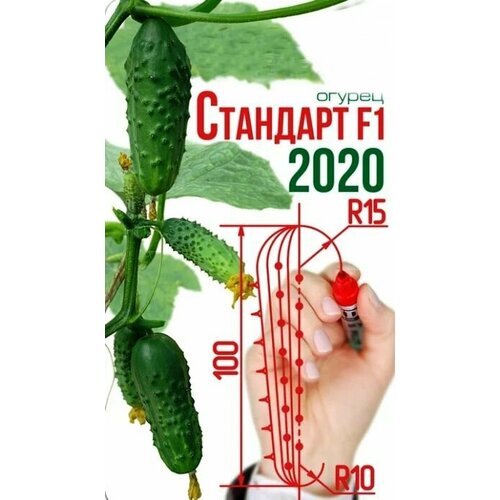 ������ ������ ������������� ������ ������ �������� F1 ����