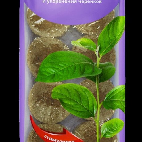 ������ ������ �������� �������� ������������� ������� 42��, 12 �� ����