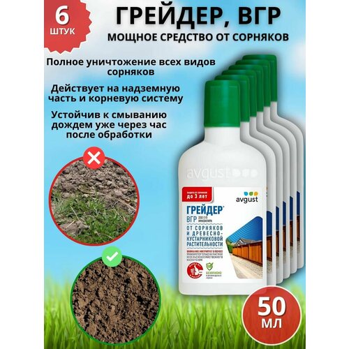 ������ ������ ������ �������� �������� �� �������� �������, ��� 50 �� 6 �� ����