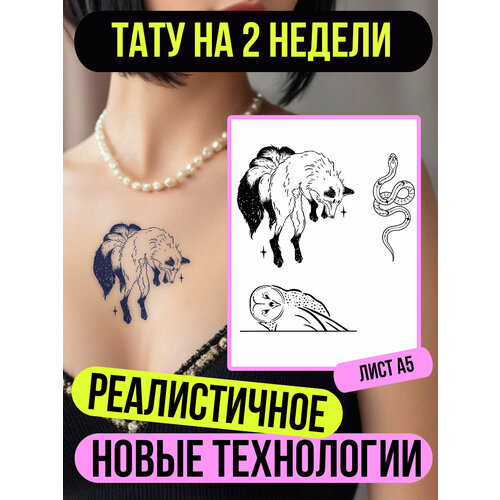 ������ ������ ���� ���������� �������������� �������� ����