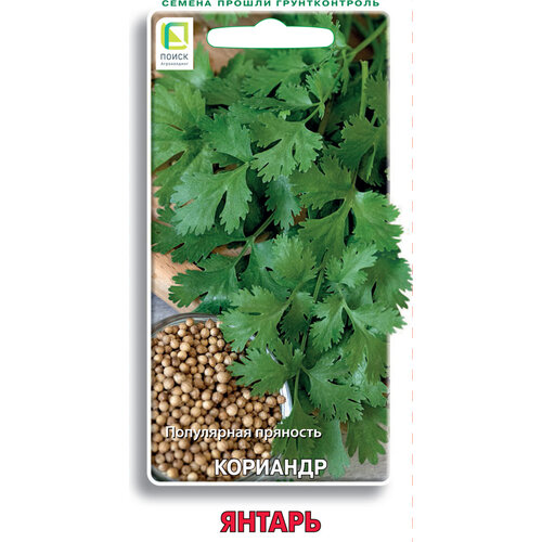 ������ ������ ������ ����� �������� ������ 3 � ����