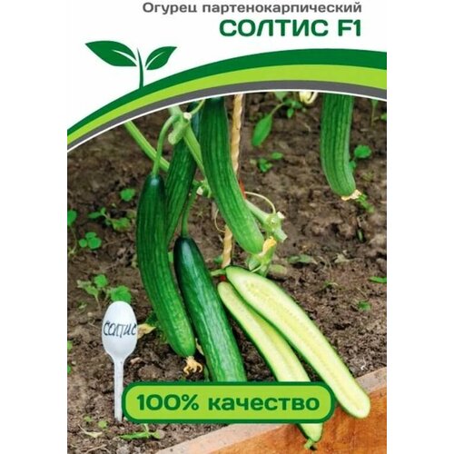 ������ ������ ������������� ������ ������ ������ F1 ����