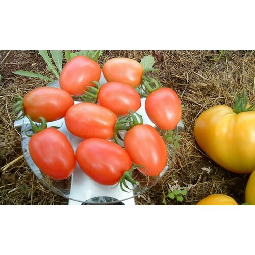 ������ ������ ������������� ������ ������ ������� ���� ����