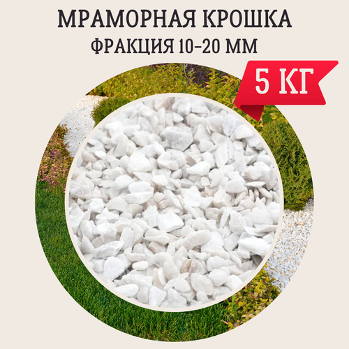 ������ ������ ��������� ������ ����� 5 �� ����