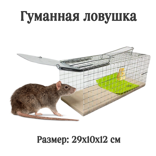 ������ ������ ���������� ������ (�������) �� ���� � ����� ����