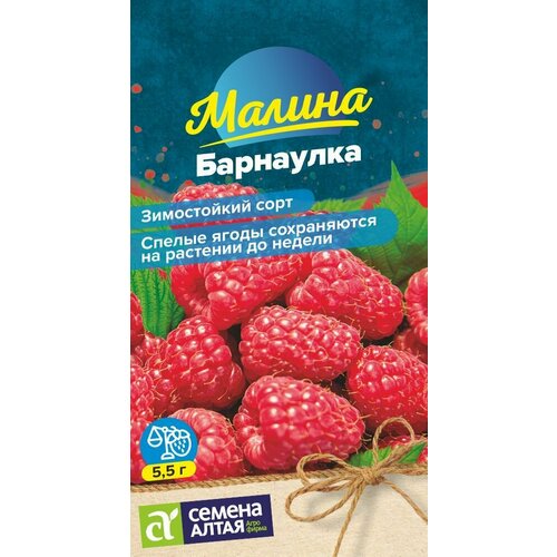 ������ ������ ������ ���������, 1 �����, ������ 0,3 ��, ������ ����� ����