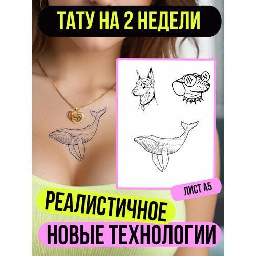 ������ ������ ���� ���������� �������������� �������� ����