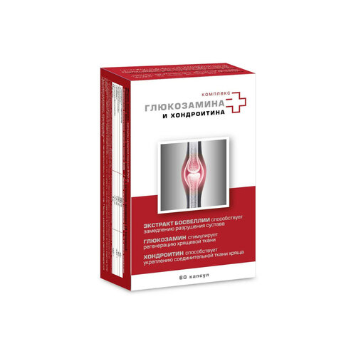 ������ ������ �������� ����������� � ����������� ����., 0.57 �, 60 ��. ����