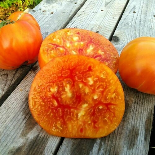 ������ ������ ������������� ������ ������ ��������� ������ ����