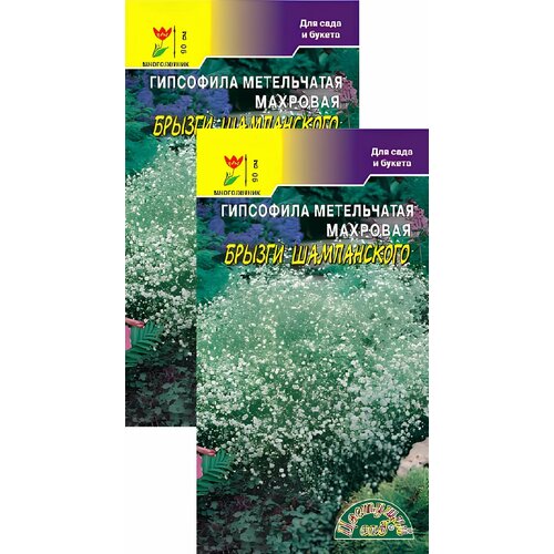 ������ ������ ��������� ������ ����������� (0,1 �), 2 ������ ����