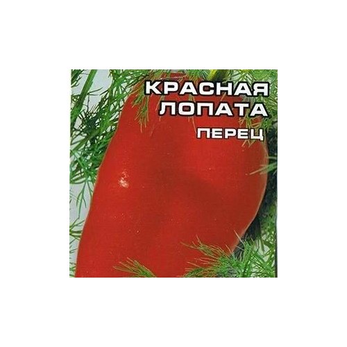 ������ ������ ������������� ������ ����� �������� ������� ������ ����